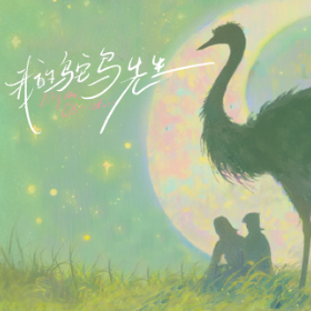 我的鸵鸟先生