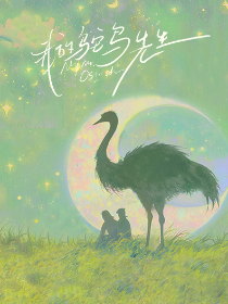 我的鸵鸟先生